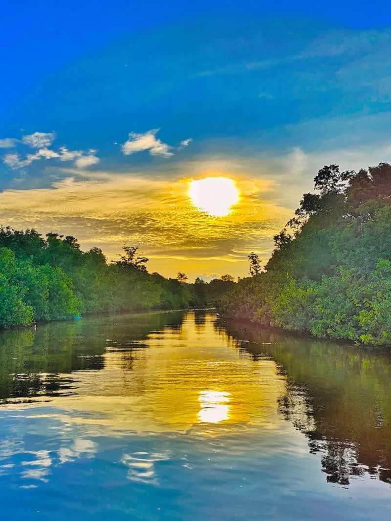Sunset over a mangrove river, the sun and clouds mirrored in the still water.