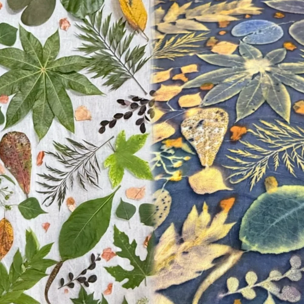 Close view of pressed leaves on white cloth beside the indigo fabric they printed.
