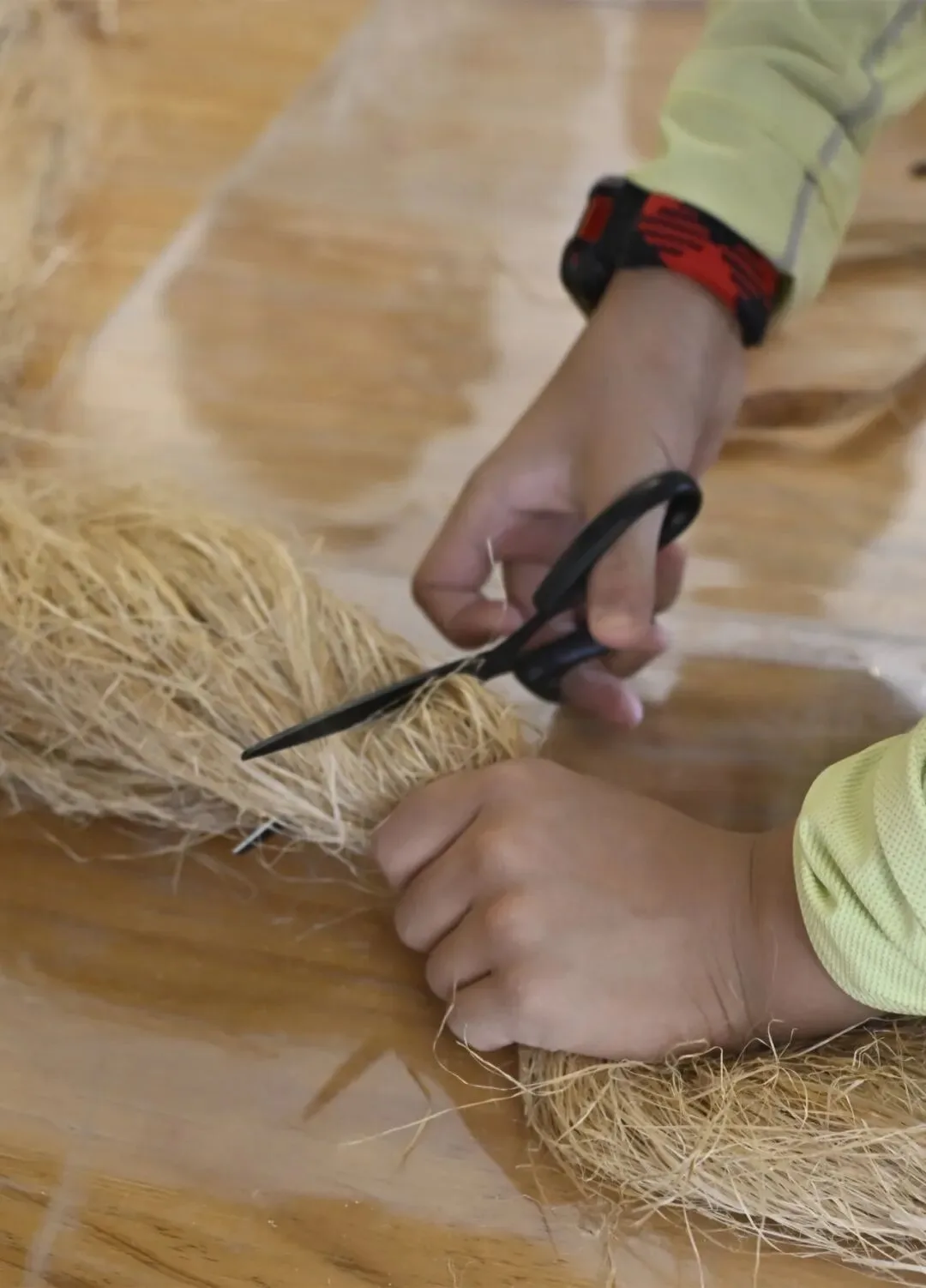 Child's hands cutting a bundle of pale hemp fibre with black scissors