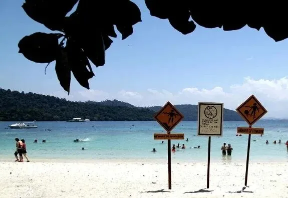 Swimmers off a white-sand beach behind yellow warning signs for deep water and stingers.