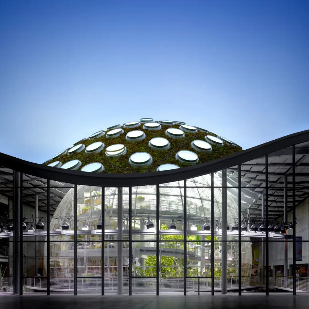 A glass-walled science museum with a domed living roof studded with circular skylights.