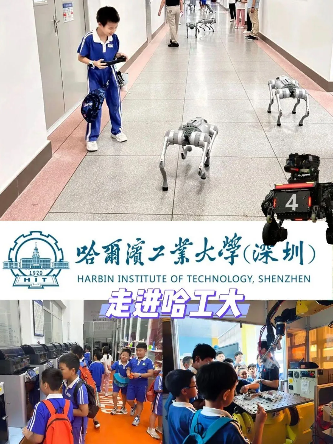 「走进哈工大」拼图:学生操控四足机器狗、参观 3D 打印实验室与机械臂课堂。